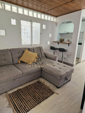 Canteras Penthouse By Misser